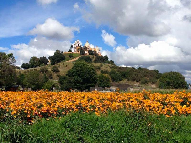 cholula-1